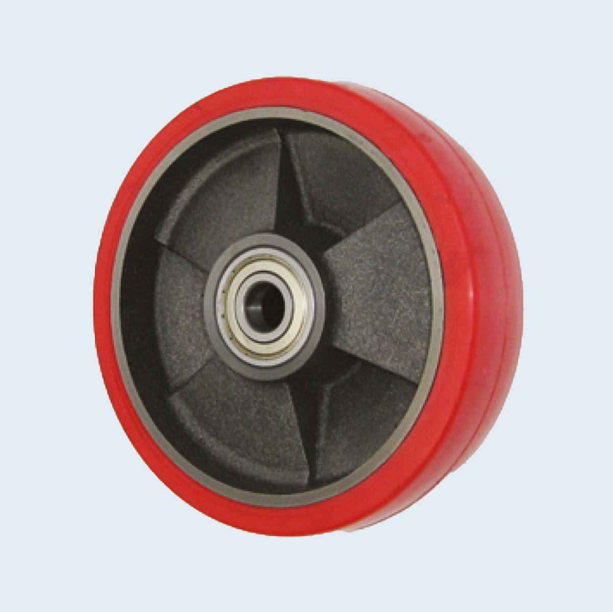 GHIPOL - Polyurethane rim injected on cast iron centre